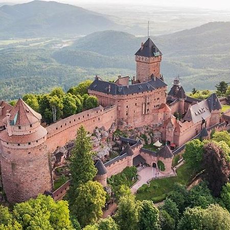 Au Pied Du Chateau Orschwiller Exteriör bild