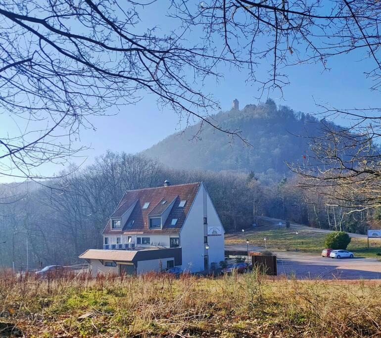 Au Pied Du Chateau Orschwiller Exteriör bild
